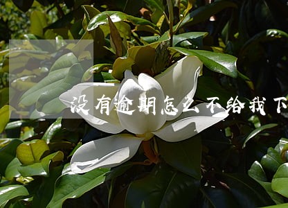 没有逾期怎么不给我下款 没有逾期怎么不给我下款