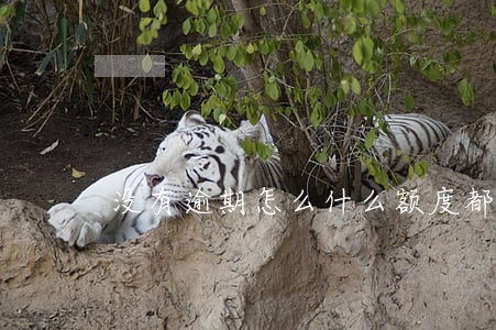 没有逾期怎么什么额度都没有了 没有逾期怎么什么额度都没有了