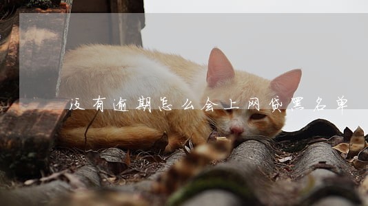 没有逾期怎么会上网贷黑名单 没有逾期怎么会上网贷黑名单