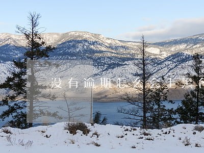 没有逾期怎么会上黑名单 没有逾期怎么会上黑名单