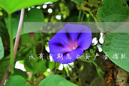 没有逾期怎么会产生循环利息