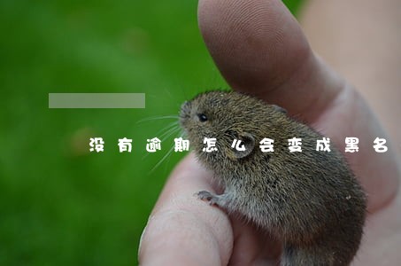 没有逾期怎么会变成黑名单 没有逾期怎么会变成黑名单
