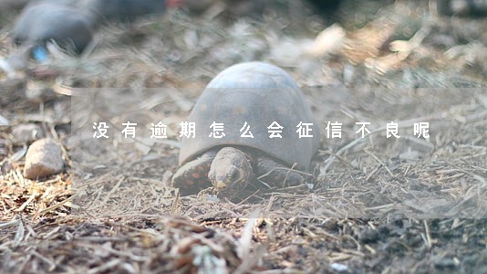 没有逾期怎么会征信不良呢 没有逾期怎么会征信不良呢