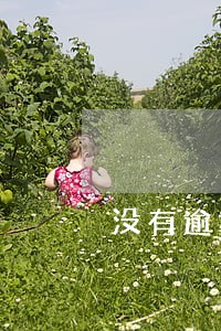 没有逾期怎么会被网贷拒绝 没有逾期怎么会被网贷拒绝