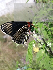 没有逾期怎么会降额度呢 没有逾期怎么会降额度呢