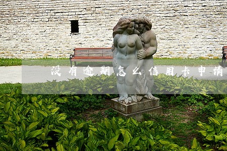 没有逾期怎么信用卡申请不了 没有逾期怎么信用卡申请不了