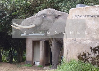 没有逾期怎么删除征信记录 没有逾期怎么删除征信记录