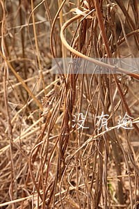 没有逾期怎么办理征信 没有逾期怎么办理征信