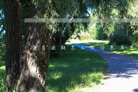 没有逾期怎么征信黑名单 没有逾期怎么征信黑名单