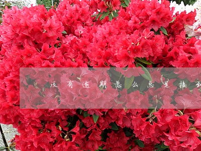 没有逾期怎么总是接到催款电话 没有逾期怎么总是接到催款电话