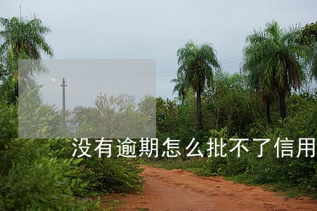 没有逾期怎么批不了信用卡 没有逾期怎么批不了信用卡