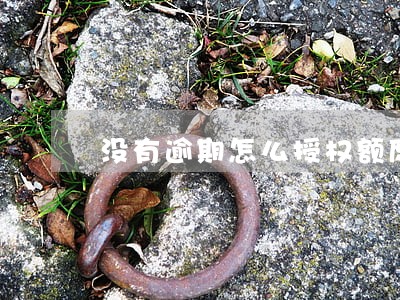 没有逾期怎么授权额度 没有逾期怎么授权额度