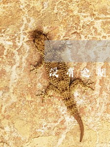 没有逾期怎么样清征信报告 没有逾期怎么样清征信报告