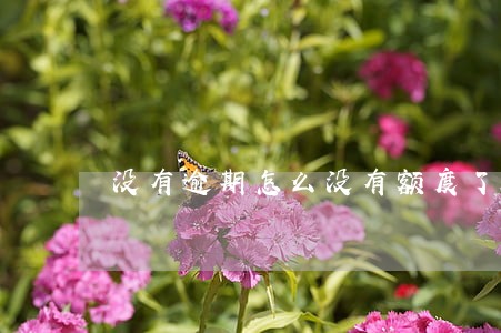 没有逾期怎么没有额度了 没有逾期怎么没有额度了