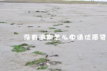 没有逾期怎么申请优质贷 没有逾期怎么申请优质贷