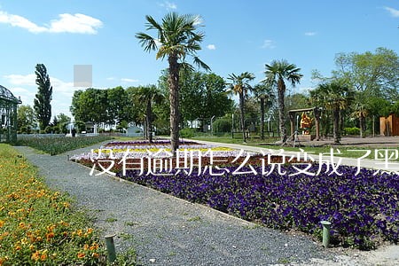 没有逾期怎么说变成了黑户 没有逾期怎么说变成了黑户