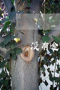 没有逾期怎么进灰名单 没有逾期怎么进灰名单