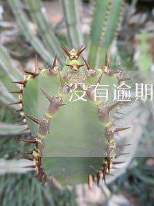 没有逾期房贷为何一月扣款两次