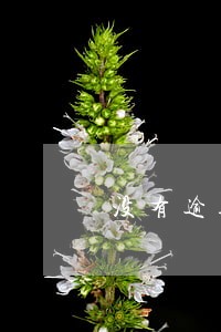 没有逾期所有平台借不到钱 没有逾期所有平台借不到钱
