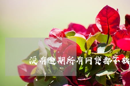 没有逾期所有网贷都不放款 没有逾期所有网贷都不放款
