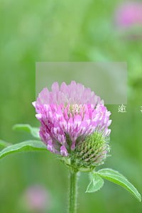 没有逾期打电话催收 没有逾期打电话催收