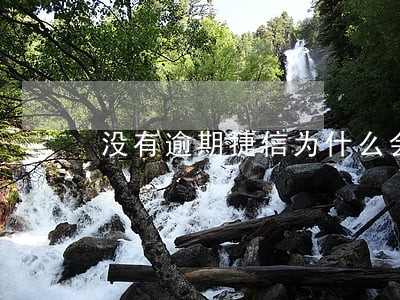 没有逾期捷信为什么会被拒绝 没有逾期捷信为什么会被拒绝