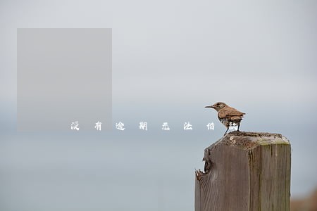没有逾期无法借款