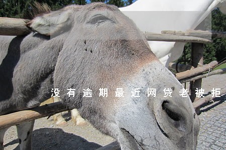 没有逾期最近网贷老被拒