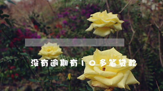 没有逾期有10多笔贷款 没有逾期有10多笔贷款