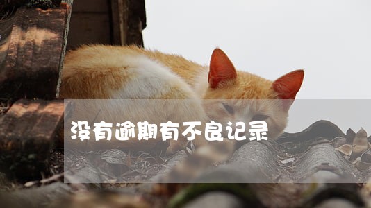 没有逾期有不良记录 没有逾期有不良记录