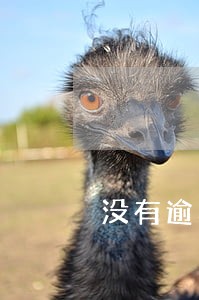 没有逾期有人打催债电话 没有逾期有人打催债电话