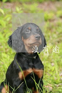 没有逾期有网贷综合评分不足 没有逾期有网贷综合评分不足
