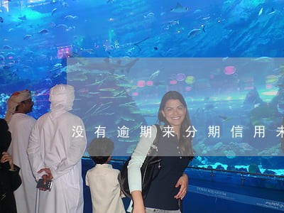 没有逾期来分期信用未通过 没有逾期来分期信用未通过
