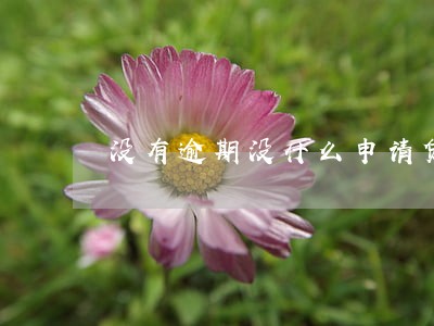 没有逾期没什么申请贷款被拒 没有逾期没什么申请贷款被拒