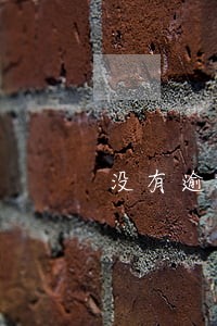 没有逾期申报纳税信用B级 没有逾期申报纳税信用B级