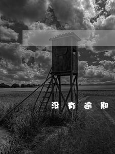 没有逾期申请信用卡却被拒绝 没有逾期申请信用卡却被拒绝