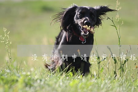 没有逾期申请信用卡被拒绝 没有逾期申请信用卡被拒绝