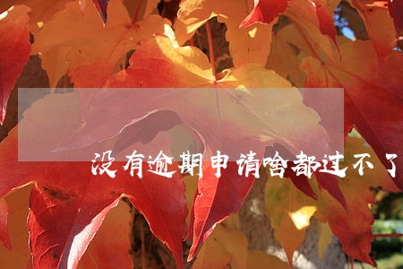 没有逾期申请啥都过不了 没有逾期申请啥都过不了