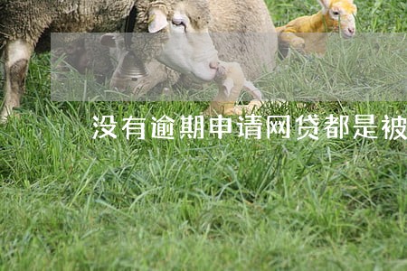 没有逾期申请网贷都是被拒 没有逾期申请网贷都是被拒