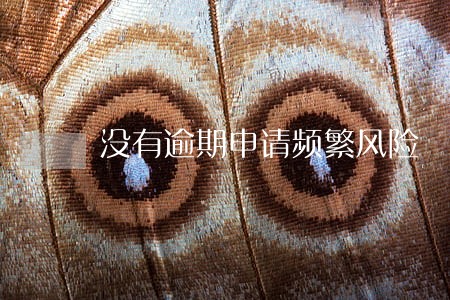 没有逾期申请频繁风险 没有逾期申请频繁风险