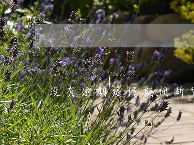 没有逾期疫情期间断贷造成逾期 没有逾期疫情期间断贷造成逾期