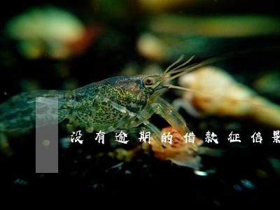 没有逾期的借款征信影响吗 没有逾期的借款征信影响吗
