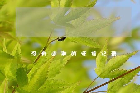 没有逾期的征信记录 没有逾期的征信记录
