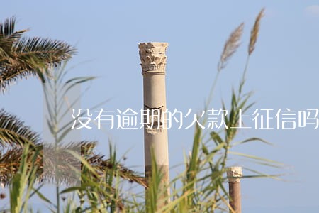 没有逾期的欠款上征信吗 没有逾期的欠款上征信吗