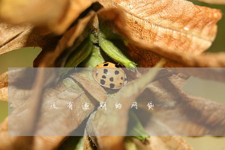 没有逾期的网贷