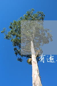 没有逾期的网贷记录在征信 没有逾期的网贷记录在征信