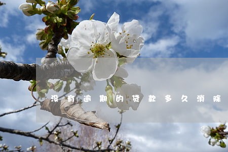 没有逾期的贷款多久消除 没有逾期的贷款多久消除
