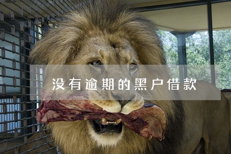 没有逾期的黑户借款 没有逾期的黑户借款