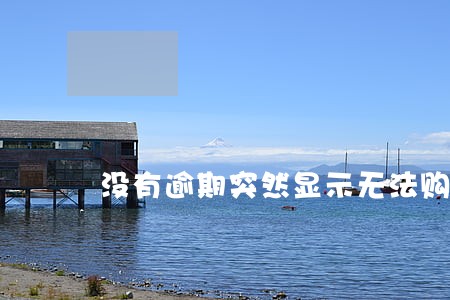 没有逾期突然显示无法购物 没有逾期突然显示无法购物