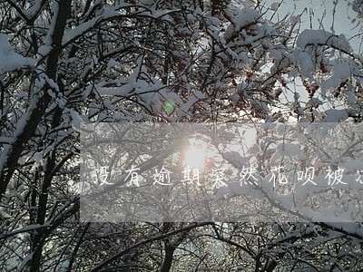 没有逾期突然花呗被冻结 没有逾期突然花呗被冻结